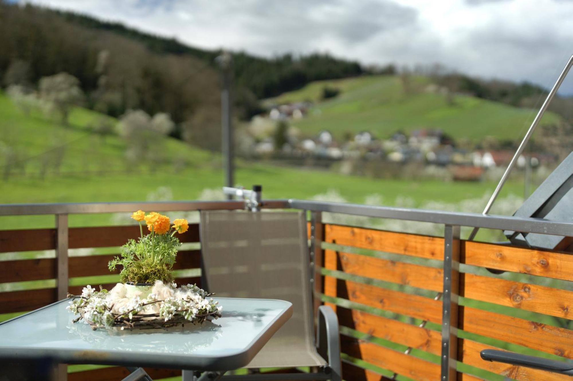 Ferienhof Vordere Alm Oberkirch  Eksteriør billede
